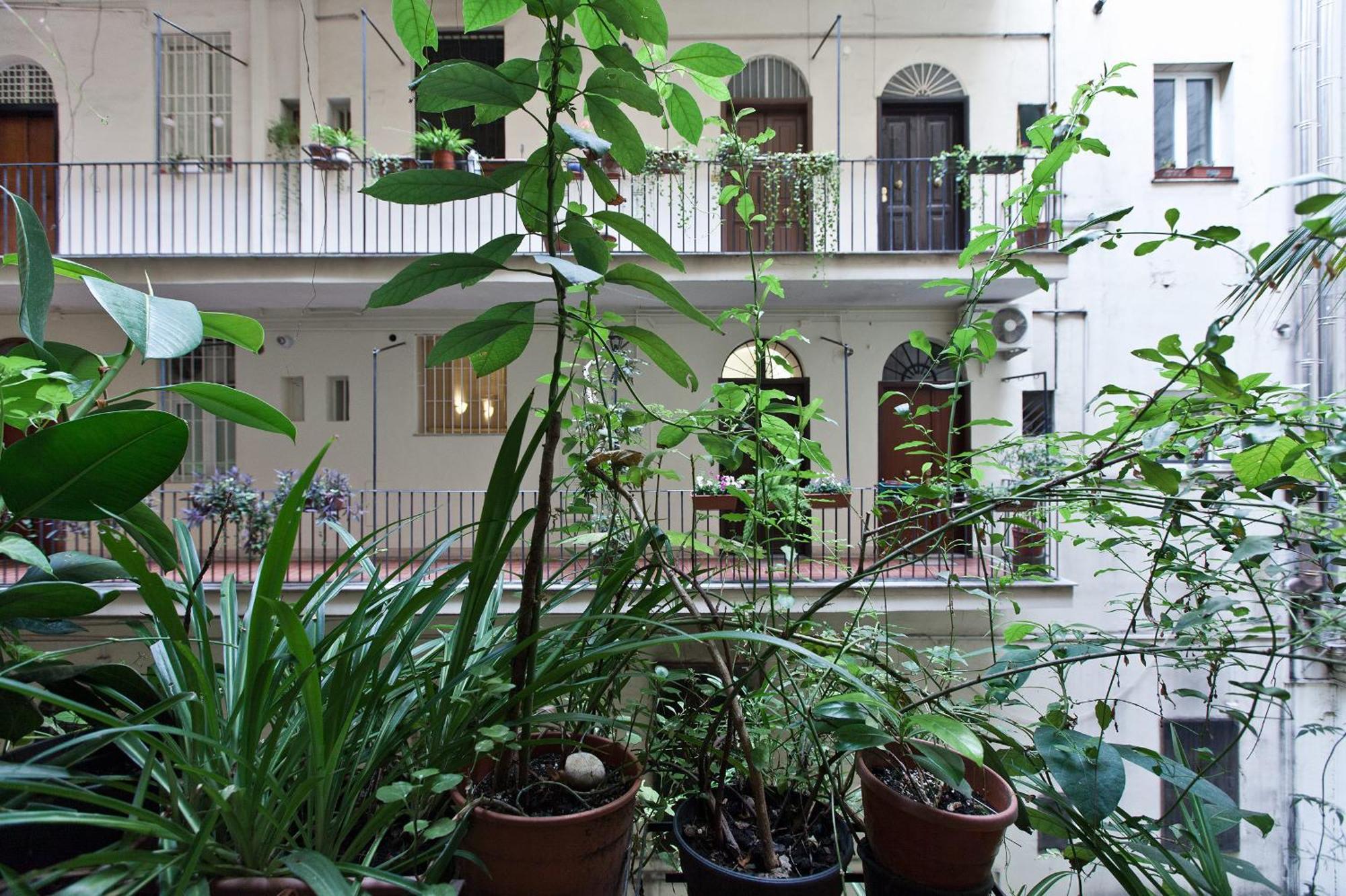 Gianicolo Holiday House โรม ภายนอก รูปภาพ